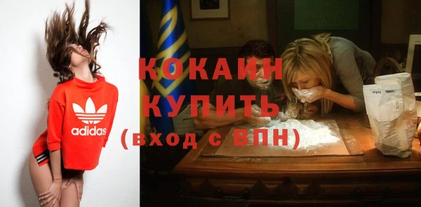 прущие грибы Мегион