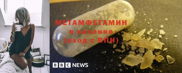 прущие грибы Мегион