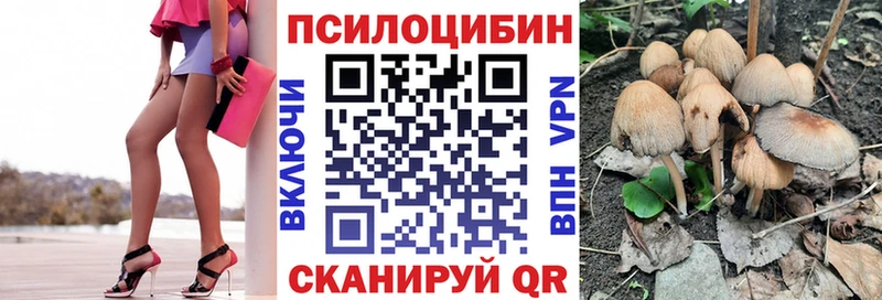 Галлюциногенные грибы Psilocybe  как найти наркотики  Зеленодольск 