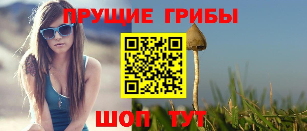 Галлюциногенные грибы прущие грибы  Вход с VPN  наркота  Зеленодольск 